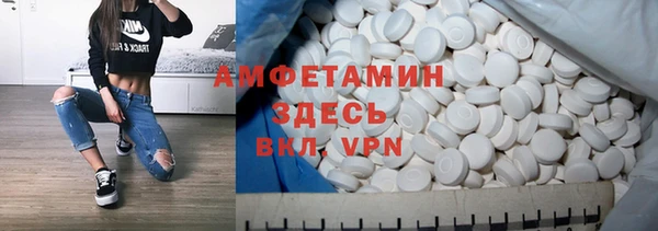 винт Абаза