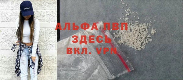 винт Абаза