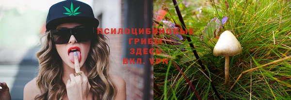 apvp Абинск