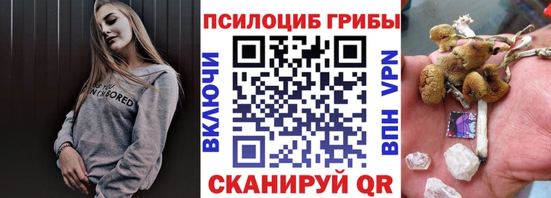Галлюциногенные грибы Magic Shrooms  закладка  Зея 