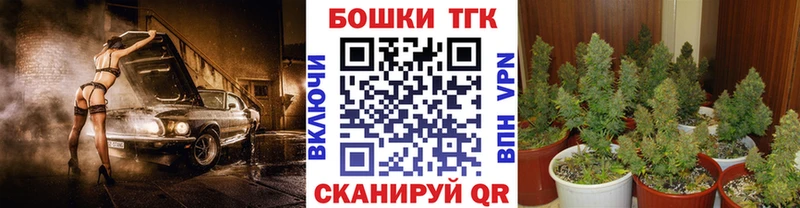 Бошки Шишки индика  гидра ссылка  Зея  купить  цена 